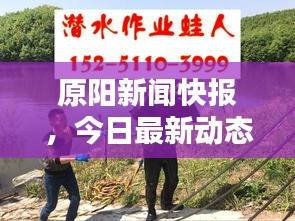 原阳新闻快报，今日最新动态