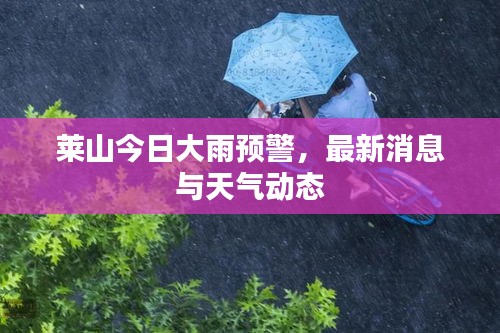莱山今日大雨预警，最新消息与天气动态
