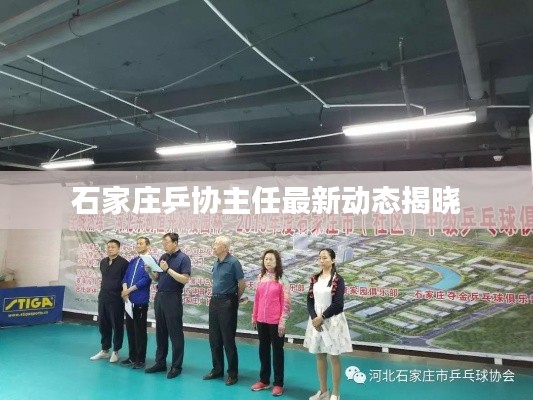 石家庄乒协主任最新动态揭晓
