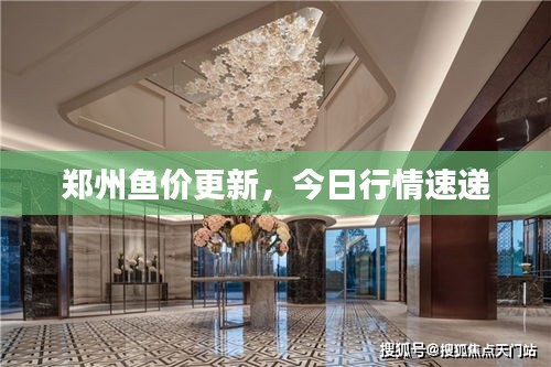 郑州鱼价更新，今日行情速递