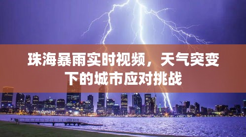 珠海暴雨实时视频，天气突变下的城市应对挑战