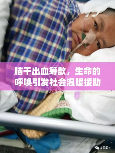 脑干出血筹款，生命的呼唤引发社会温暖援助行动！