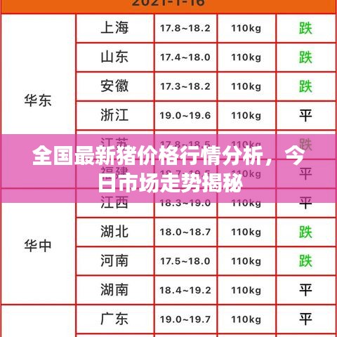 全国最新猪价格行情分析，今日市场走势揭秘