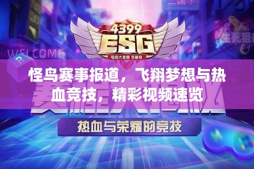 怪鸟赛事报道，飞翔梦想与热血竞技，精彩视频速览