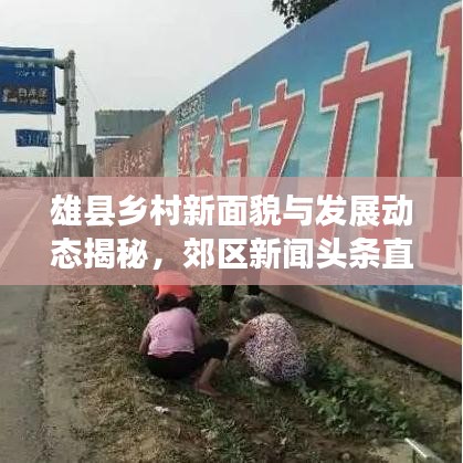 雄县乡村新面貌与发展动态揭秘，郊区新闻头条直播报道