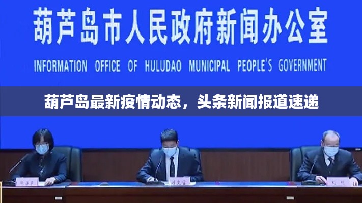 葫芦岛最新疫情动态，头条新闻报道速递