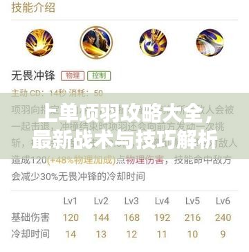 上单项羽攻略大全，最新战术与技巧解析