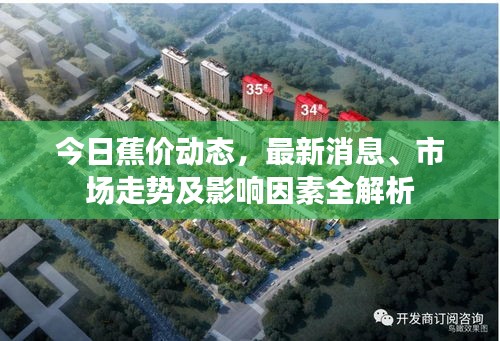 今日蕉价动态，最新消息、市场走势及影响因素全解析