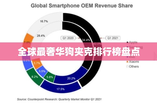 全球最奢华狗夹克排行榜盘点