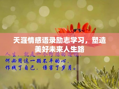 天涯情感语录励志学习，塑造美好未来人生路
