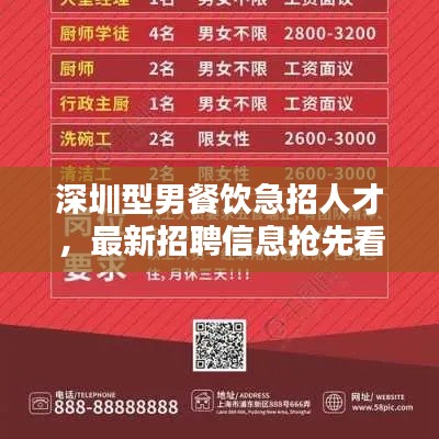 深圳型男餐饮急招人才，最新招聘信息抢先看！