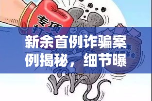 新余首例诈骗案例揭秘，细节曝光，引人深思