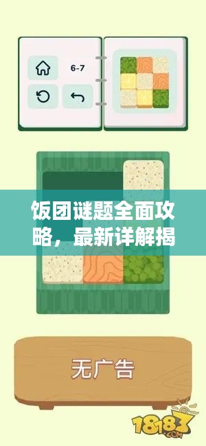 饭团谜题全面攻略，最新详解揭秘！