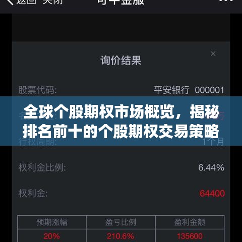全球个股期权市场概览，揭秘排名前十的个股期权交易策略解析