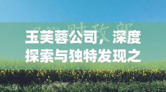 玉芙蓉公司，深度探索与独特发现之旅
