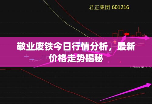 贵戚之卿 第2页