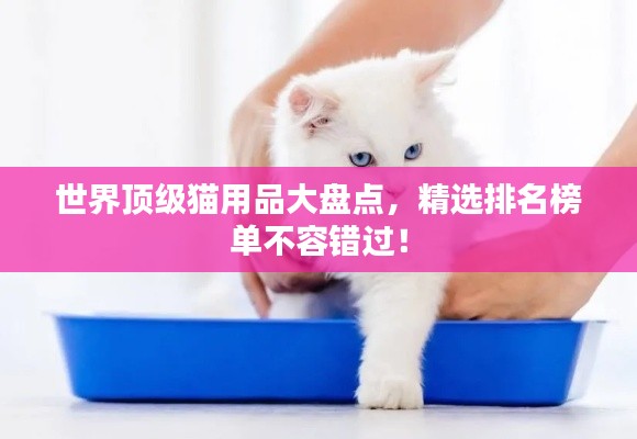 世界顶级猫用品大盘点，精选排名榜单不容错过！