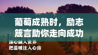 葡萄成熟时，励志箴言助你走向成功之路