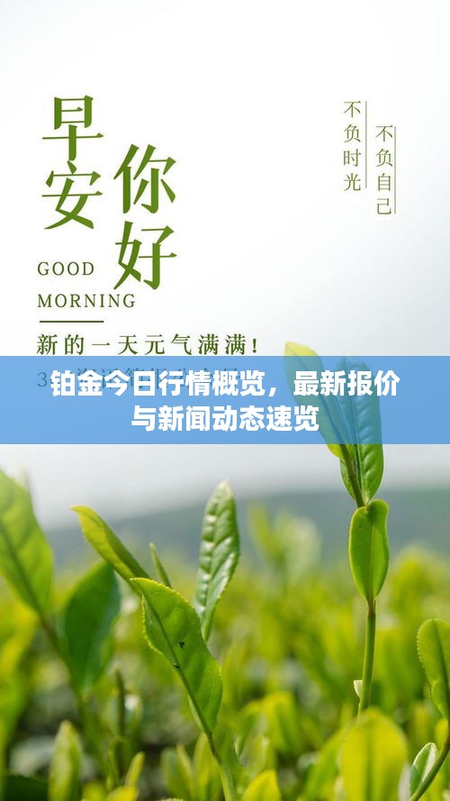 笼中之鸟 第2页