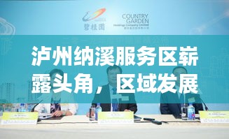 泸州纳溪服务区崭露头角，区域发展迈入新篇章，新闻热点深度解析