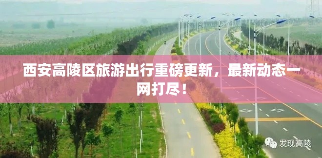 西安高陵区旅游出行重磅更新，最新动态一网打尽！
