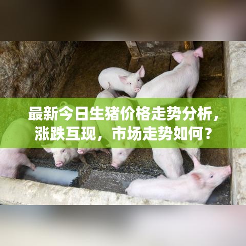 最新今日生猪价格走势分析，涨跌互现，市场走势如何？