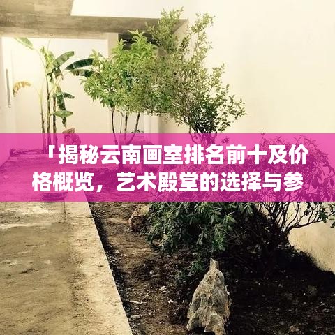 「揭秘云南画室排名前十及价格概览，艺术殿堂的选择与参考」