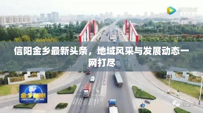 信阳金乡最新头条，地域风采与发展动态一网打尽
