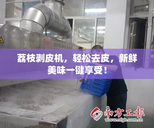 荔枝剥皮机，轻松去皮，新鲜美味一键享受！