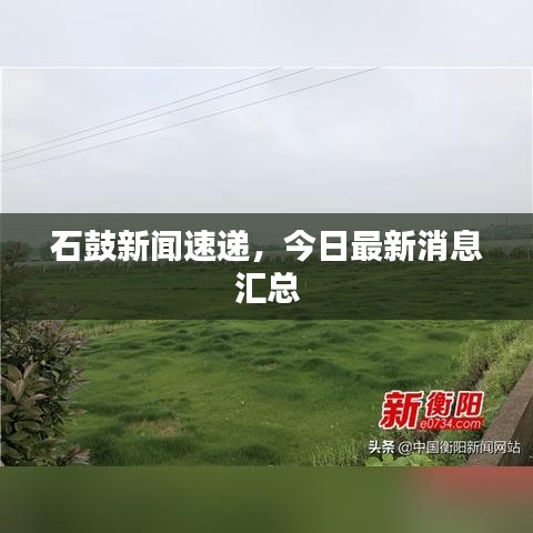 石鼓新闻速递，今日最新消息汇总