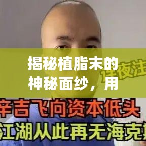 揭秘植脂末的神秘面纱，用途、功能与食品添加剂的深入了解