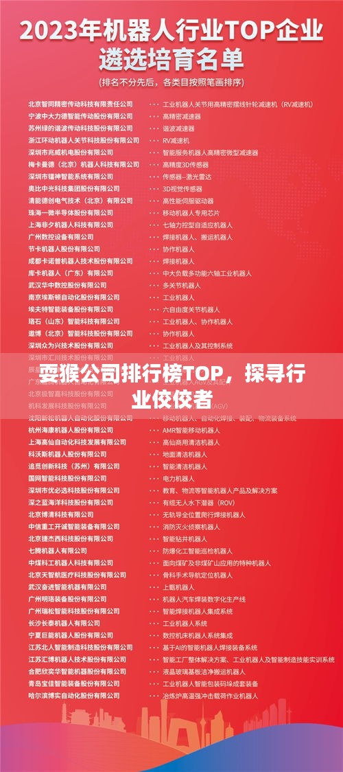 耍猴公司排行榜TOP，探寻行业佼佼者