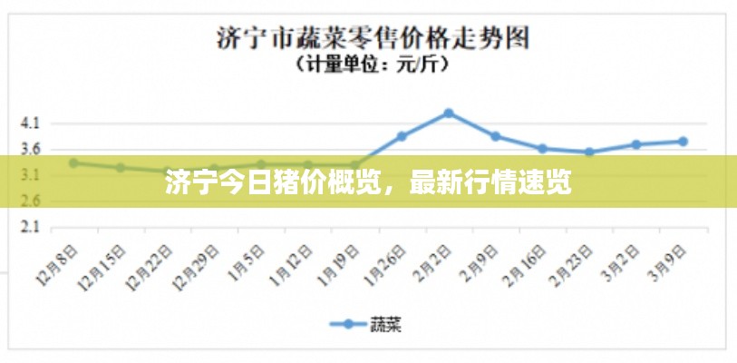 济宁今日猪价概览，最新行情速览