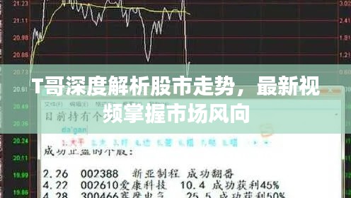 T哥深度解析股市走势，最新视频掌握市场风向