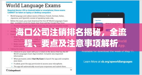海口公司注销排名揭秘，全流程、要点及注意事项解析