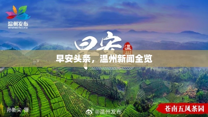 早安头条，温州新闻全览