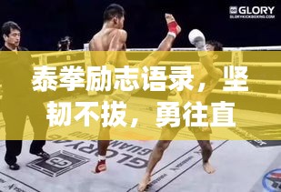 泰拳励志语录，坚韧不拔，勇往直前！