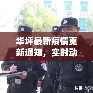 择善而从 第2页