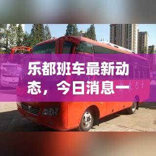 乐都班车最新动态，今日消息一网打尽！