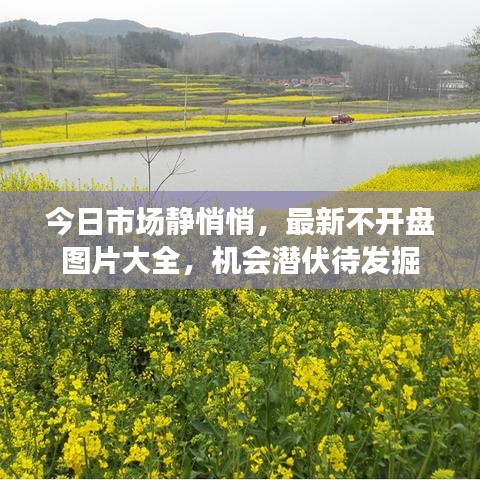 今日市场静悄悄，最新不开盘图片大全，机会潜伏待发掘