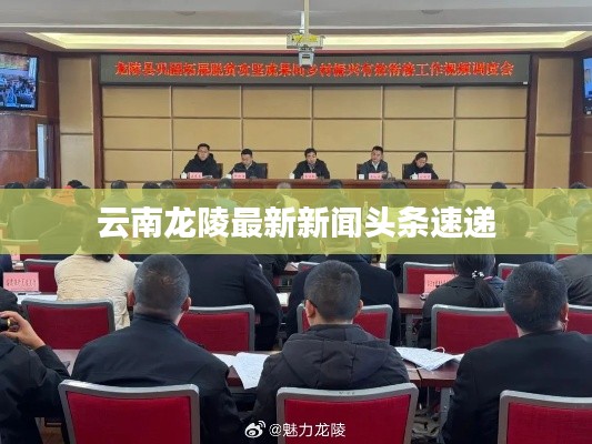 云南龙陵最新新闻头条速递