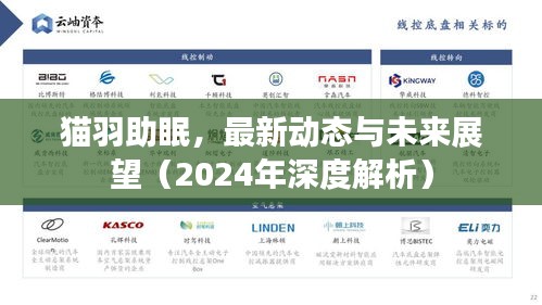 猫羽助眠，最新动态与未来展望（2024年深度解析）