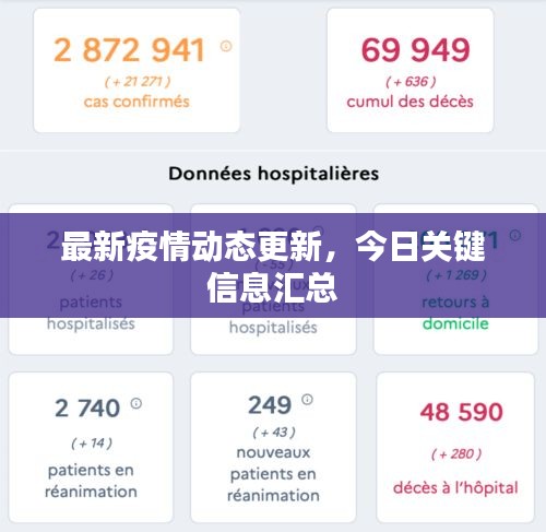 最新疫情动态更新，今日关键信息汇总