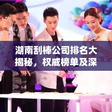 湖南刮棒公司排名大揭秘，权威榜单及深度解析