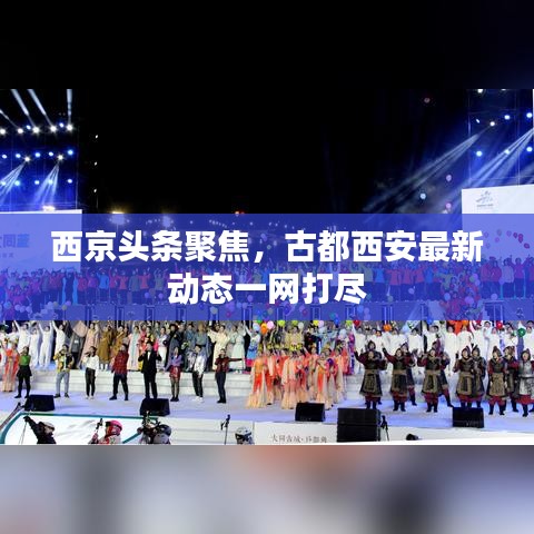 西京头条聚焦，古都西安最新动态一网打尽