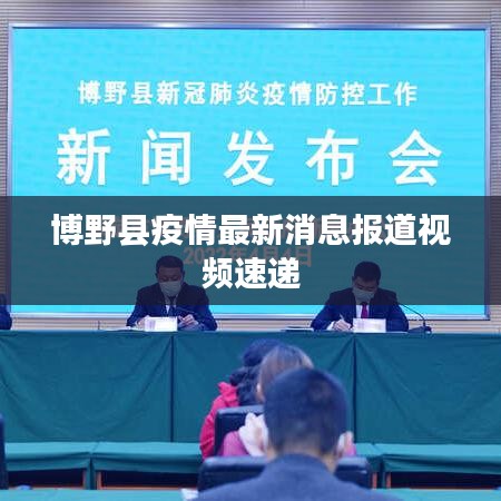 博野县疫情最新消息报道视频速递