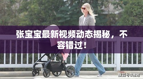 张宝宝最新视频动态揭秘，不容错过！