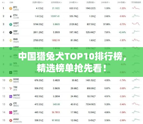 还朴反古 第2页