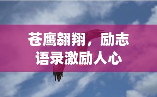 苍鹰翱翔，励志语录激励人心