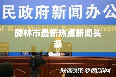 碑林市最新热点新闻头条